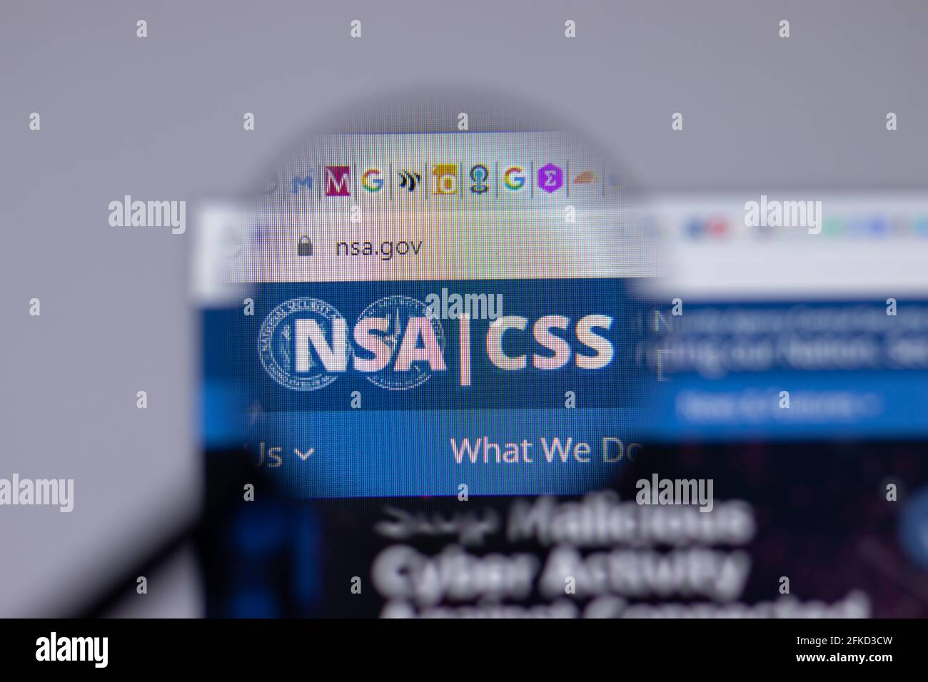 New York, USA - 26 Aprile 2021: NSA CSS US National Security Agency logo close-up sulla pagina del sito web, editoriale illustrativo Foto Stock