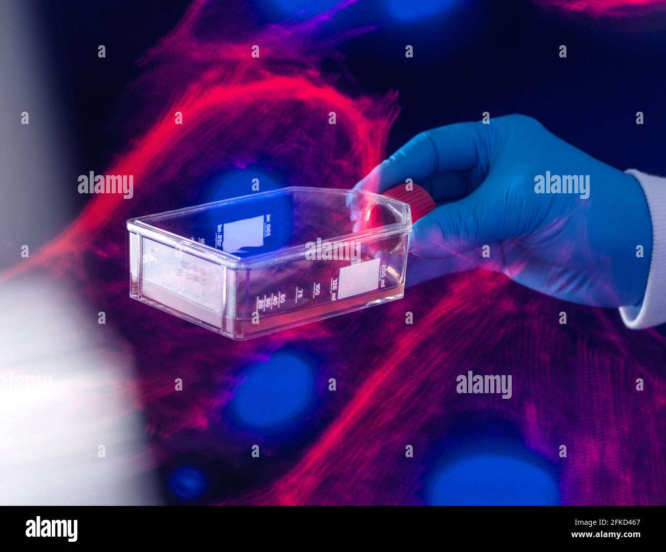 UK, Buckinghamshire, High Wycombe, matraccio da laboratorio per la conservazione di scienziati Foto Stock