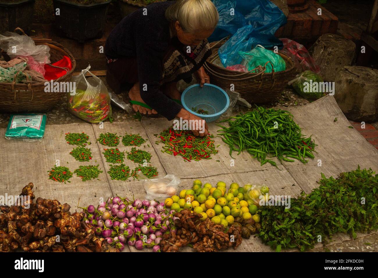 Luang Prabang, Laos - 6 luglio 2016: Un venditore separa i peperoni durante un mercato della prima mattina. Foto Stock