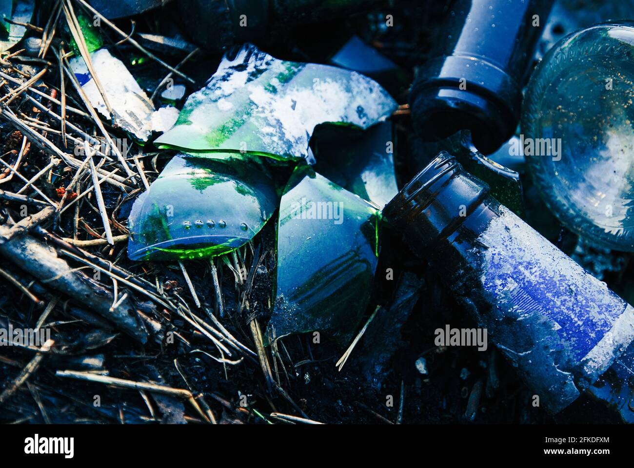 Bottiglie di vetro rotte lasciate nella foresta, problema di inquinamento ambientale Foto Stock