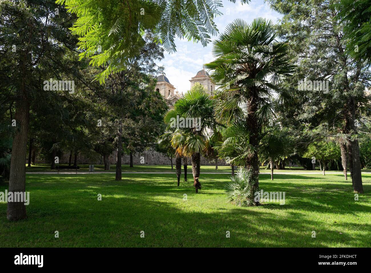 Chiesa vista attraverso alcuni grandi alberi dal vecchio fiume Turia. Valencia, Spagna Foto Stock