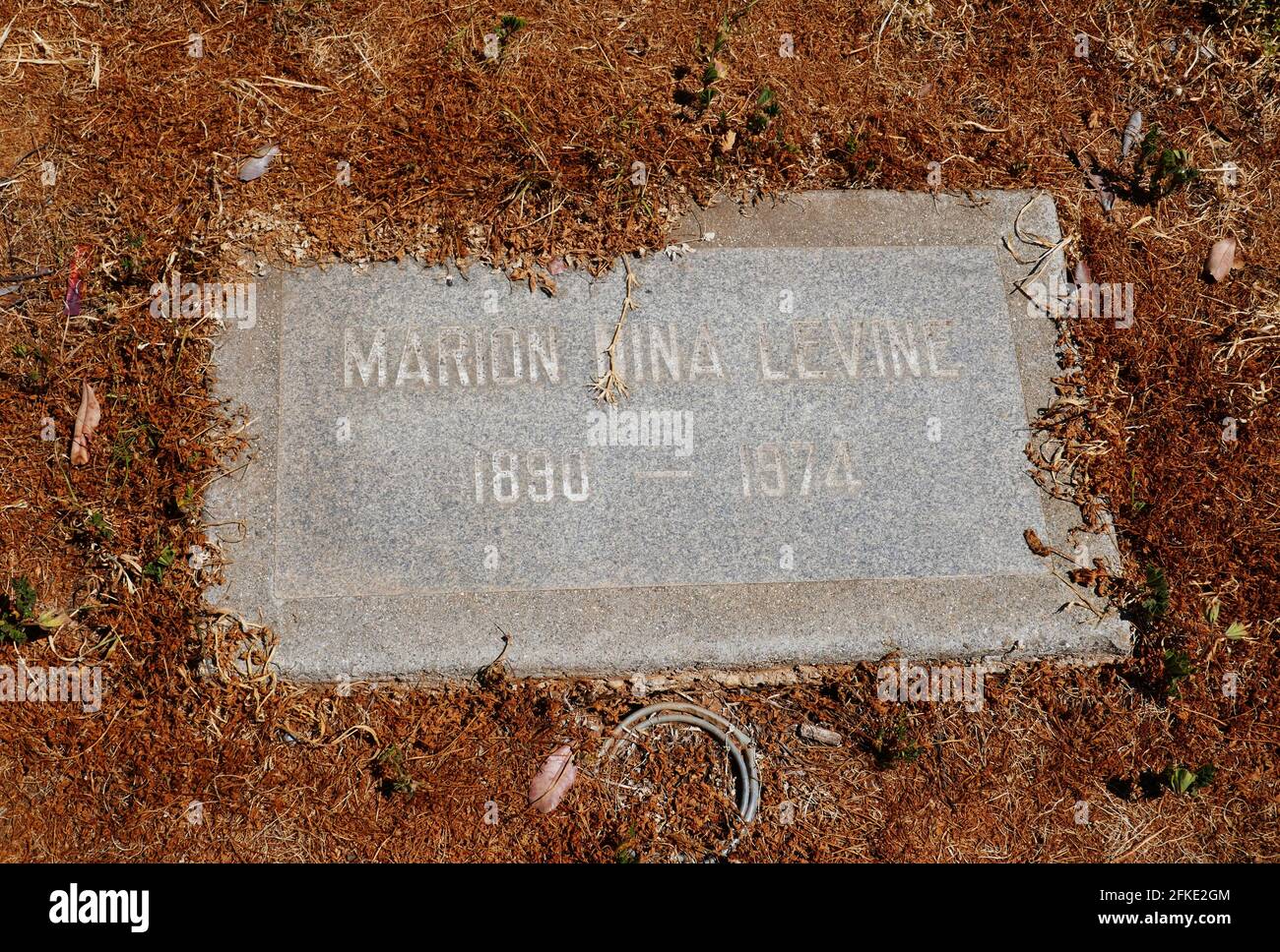 Los Angeles, California, USA 29 aprile 2021 UNA visione generale dell'atmosfera del Circus Fat Lady Emilie Bailey's grave in Ladies Auxiliary Pacific Coast Showmen's Association Section presso Evergreen Cemetery al 204 Evergreen Avenue il 29 aprile 2021 a Los Angeles, California, USA. Foto di Barry King/Alamy Stock foto Foto Stock