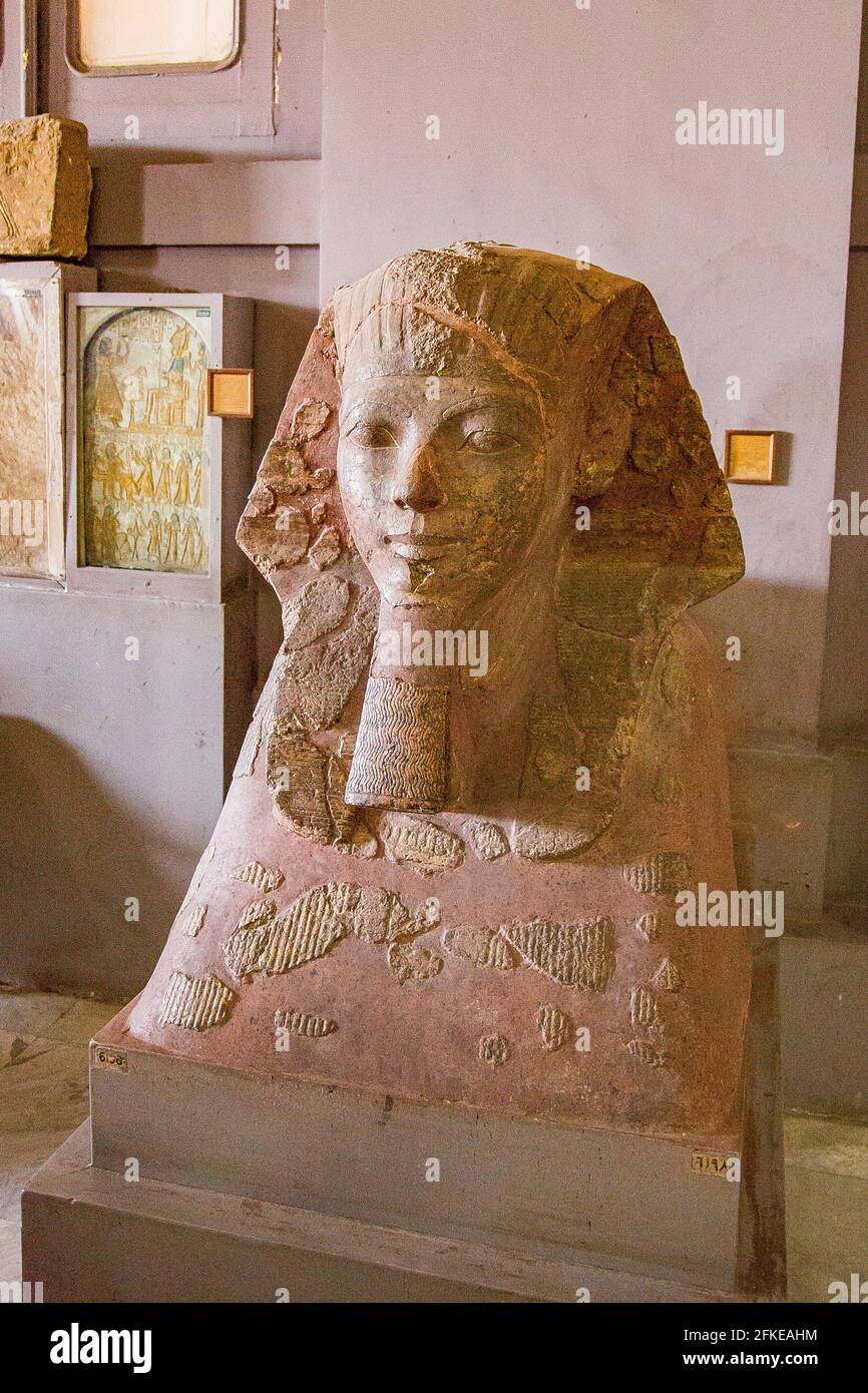 Cairo, Museo Egizio, capo (molto restaurato) di una sfinge di Hatshepsut, una delle rare donne che divenne re d'Egitto. Granito. Foto Stock