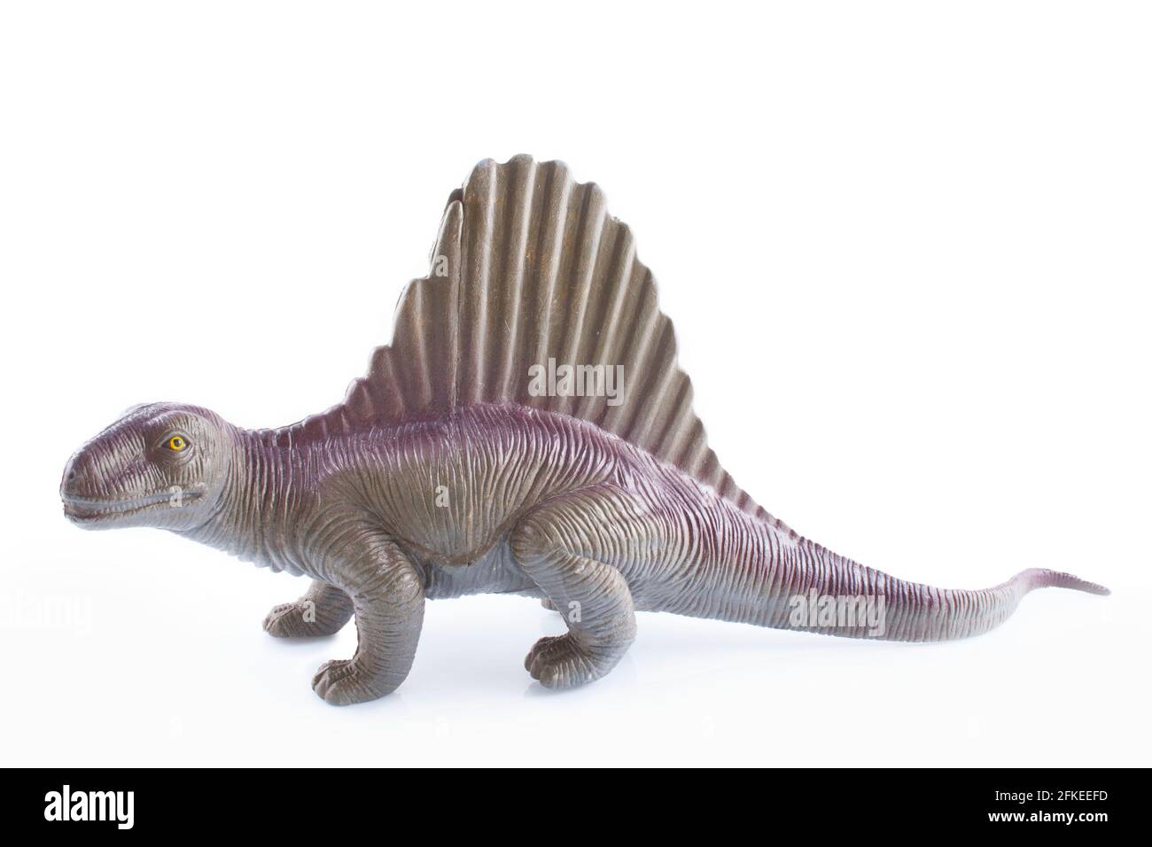 dino isolato su sfondo bianco Foto Stock