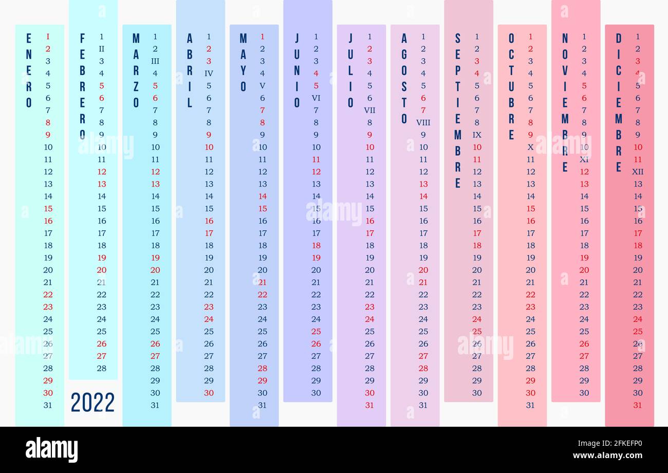 Calendario 2022 anni in spagnolo. Nuovo modello di calendario lineare 2022. 12 mesi in verticale di colori diversi su sfondo blu scuro. Vettore stock Illustrazione Vettoriale