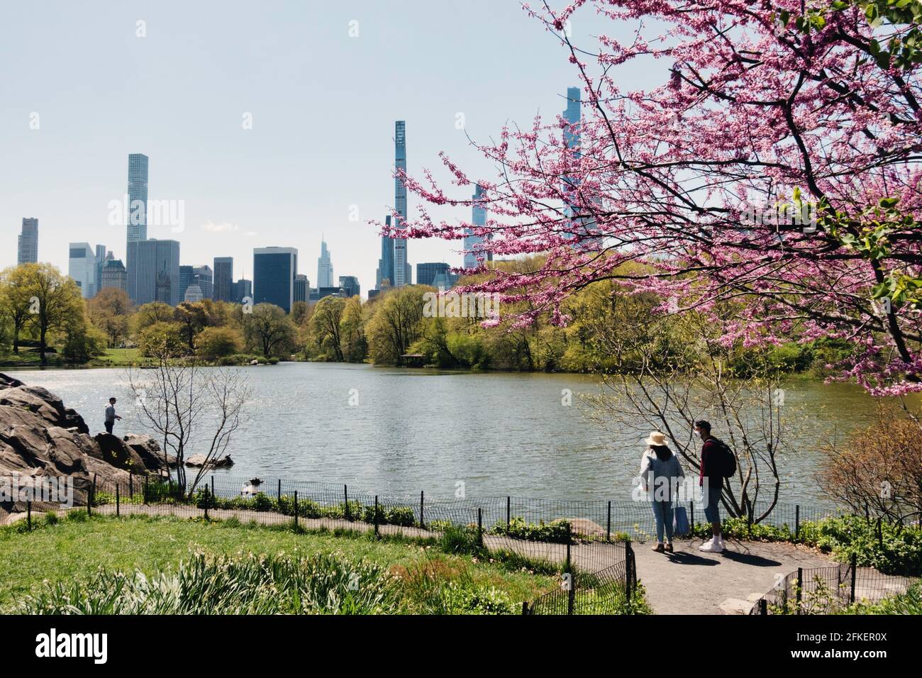 Skyline di Midtown con i Condomini Supertall visti da Central Park Foto Stock