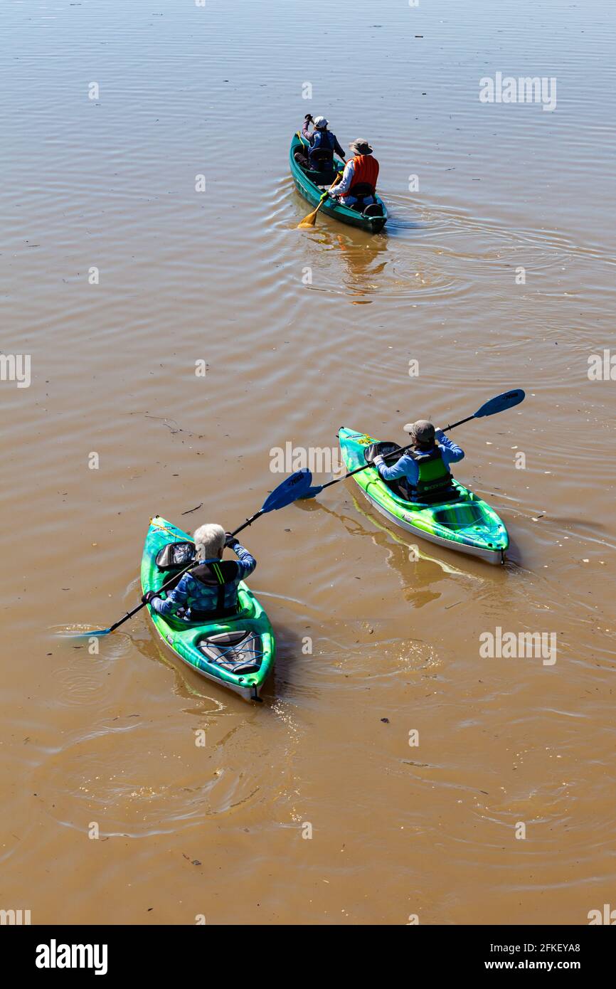 Persone kayak e canoa nelle acque fangose del Fraser River durante la corsa primaverile di scioglimento della neve pack Steveston British Columbia Canada Foto Stock