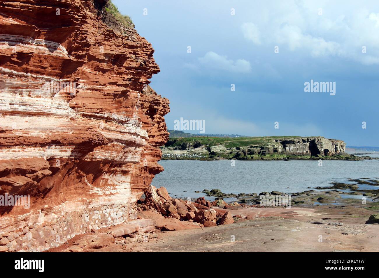 Bunter arenaria Cliff sull'isola di Hilbre, guardando verso il Medio occhio ad High Tide, il Wirral, Merseyside, Regno Unito Foto Stock