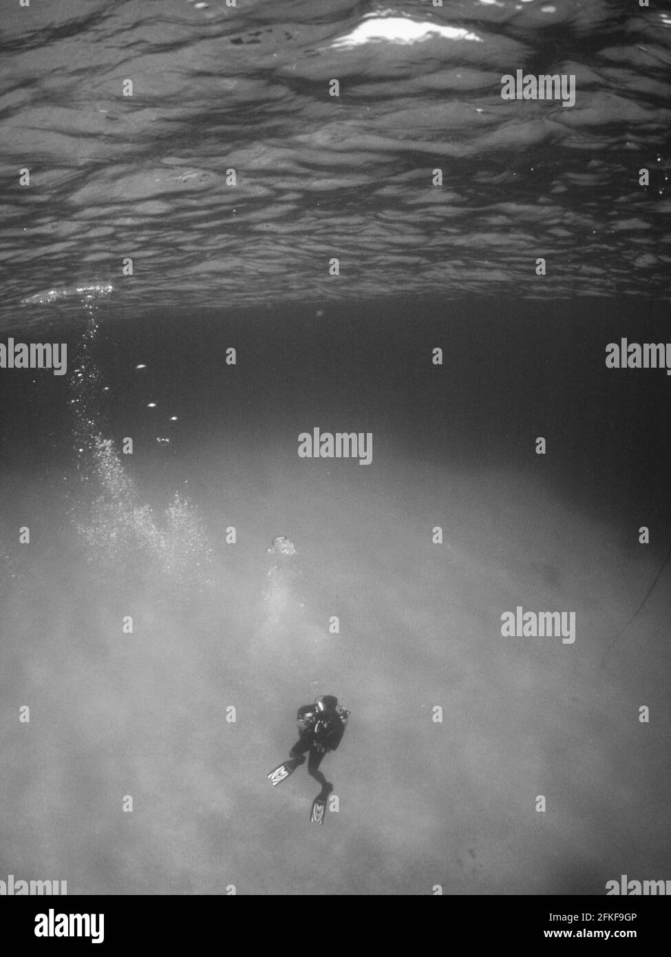 Scala di grigi di subacquei sotto l'oceano Foto Stock