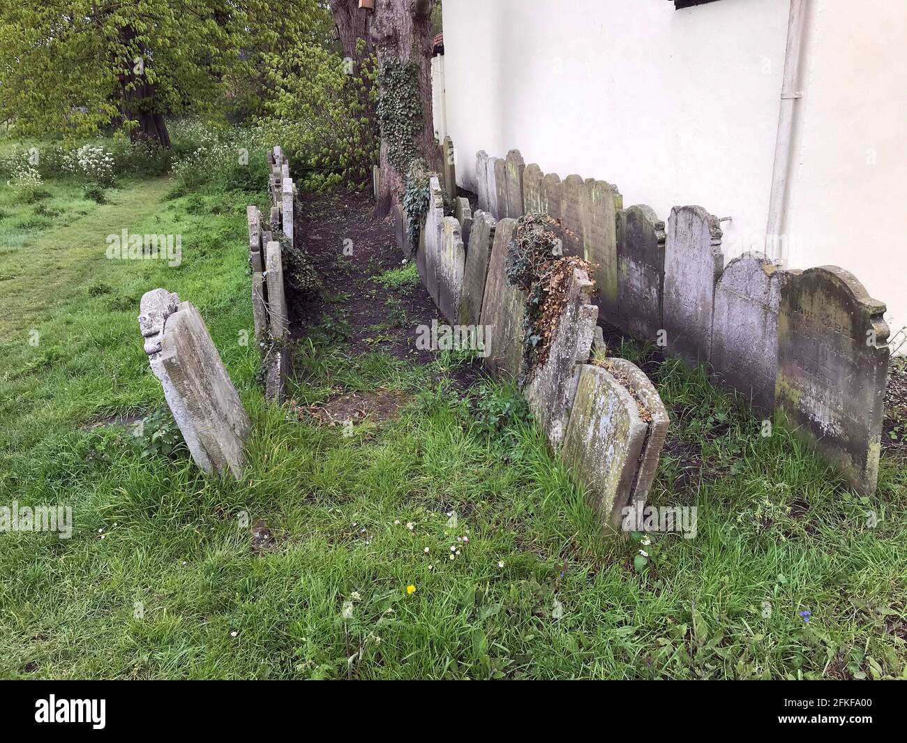 fila di pietre di testa strettamente impaccate in terra di sepoltura a kilbrack beccles suffolk inghilterra Foto Stock