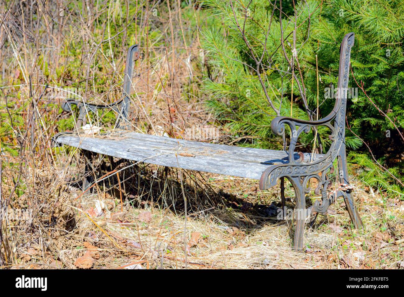 Una vecchia panchina di parco rotta nei boschi. Il retro è mancante, il legno sbiadito, il metallo mostra macchie di ruggine. Erba e alberi intorno panca. Giorno di sole, concentratevi sul più vicino Foto Stock