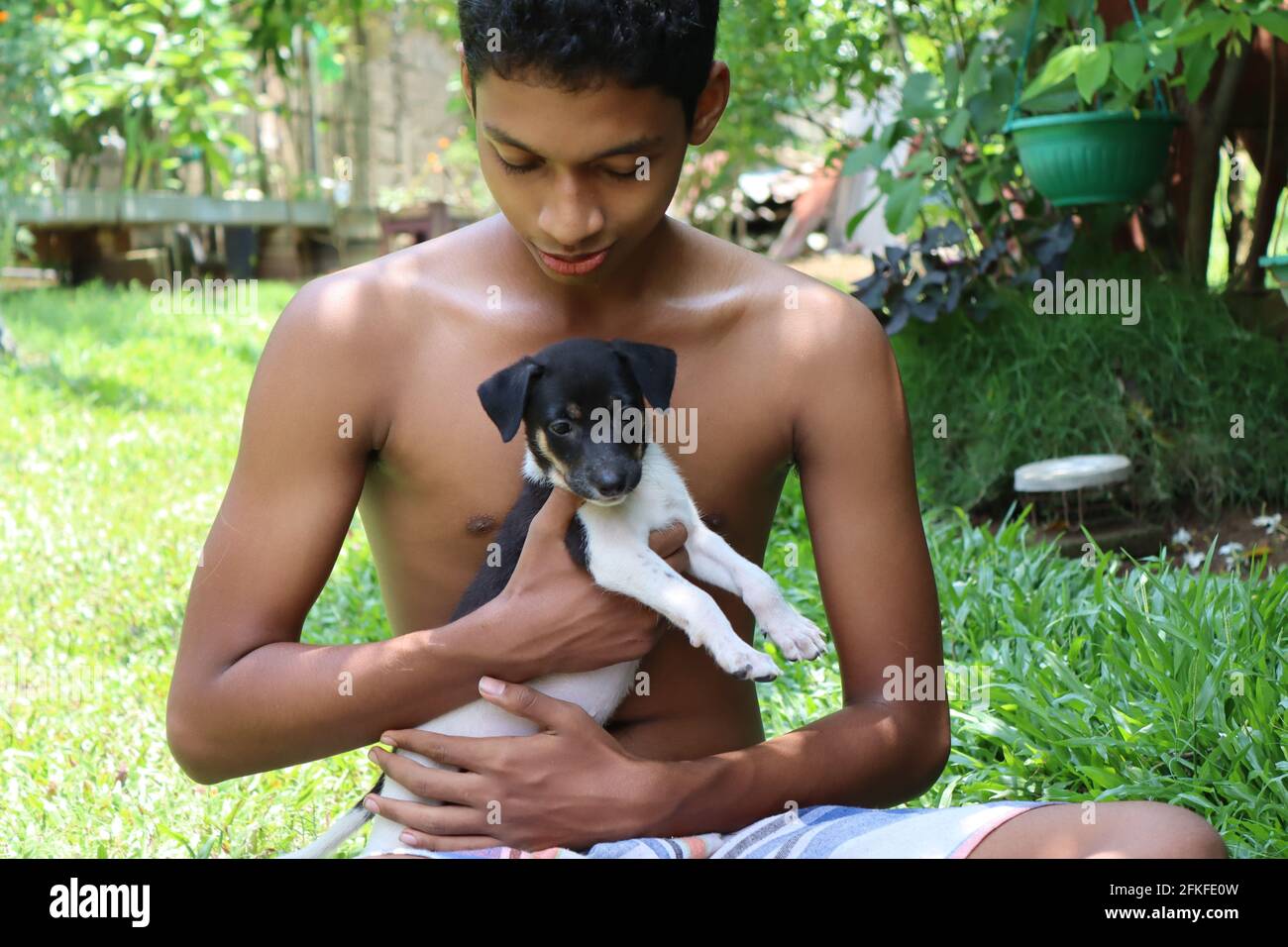 Cucciolo bianco e nero di due mesi dallo Sri Lanka, qui le paludi sono considerate come membri della famiglia anche i cani di strada sono nutriti da persone gentili nel paese Foto Stock