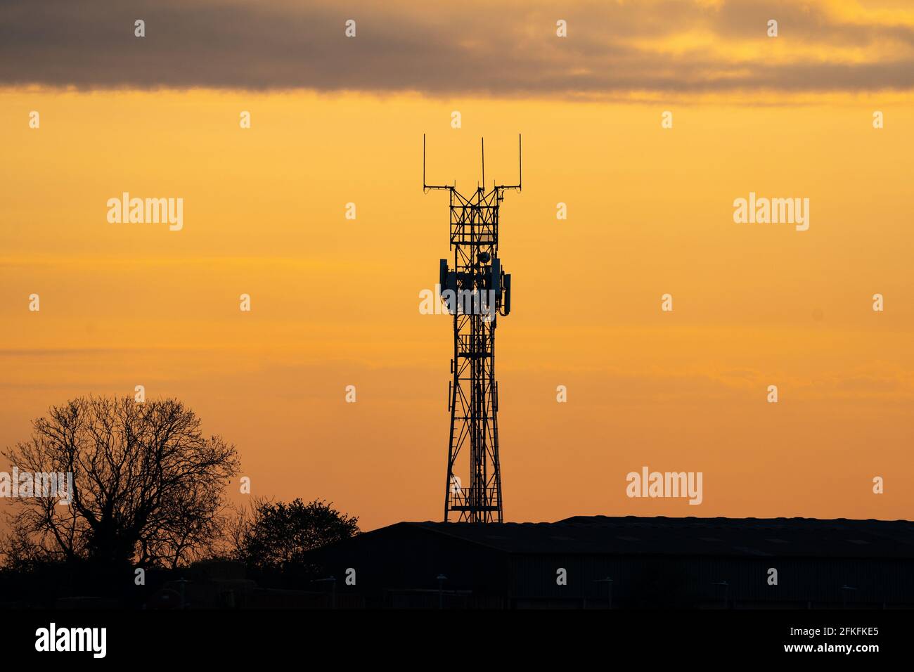 5G controverso radiotelefono radiotelefono radiotelefono silhouette palo del trasmettitore al tramonto dell'ora d'oro. Cielo estivo con nuvole e alberi. Foto Stock