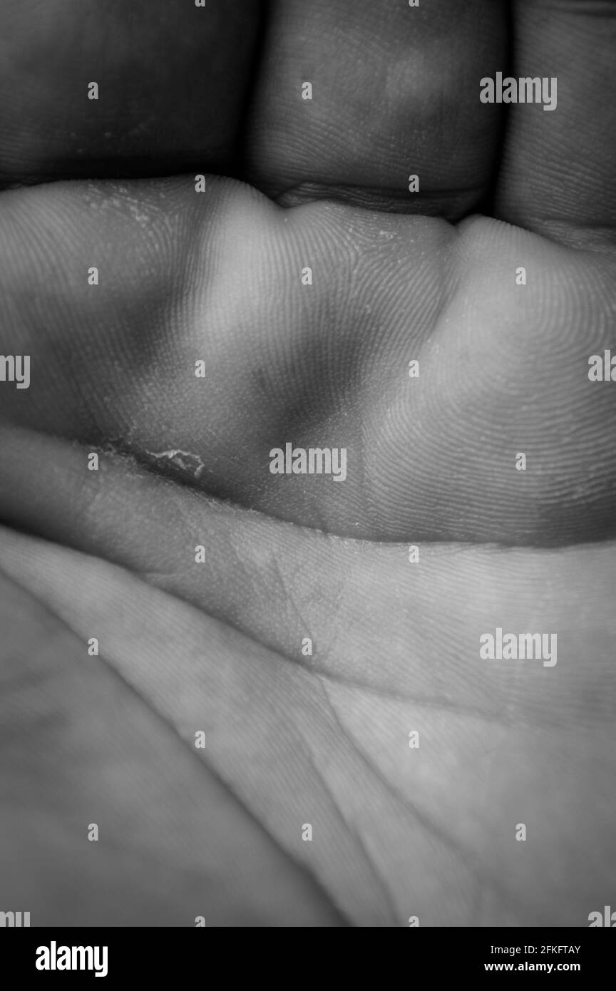 Vista macro in bianco e nero di un palmo di una mano maschile umana con linee e struttura della pelle Foto Stock