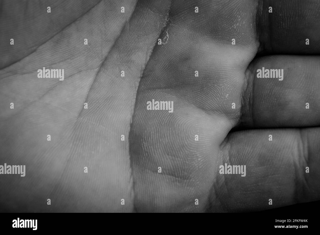 Vista macro in bianco e nero di un palmo di una mano maschile umana con linee e struttura della pelle Foto Stock