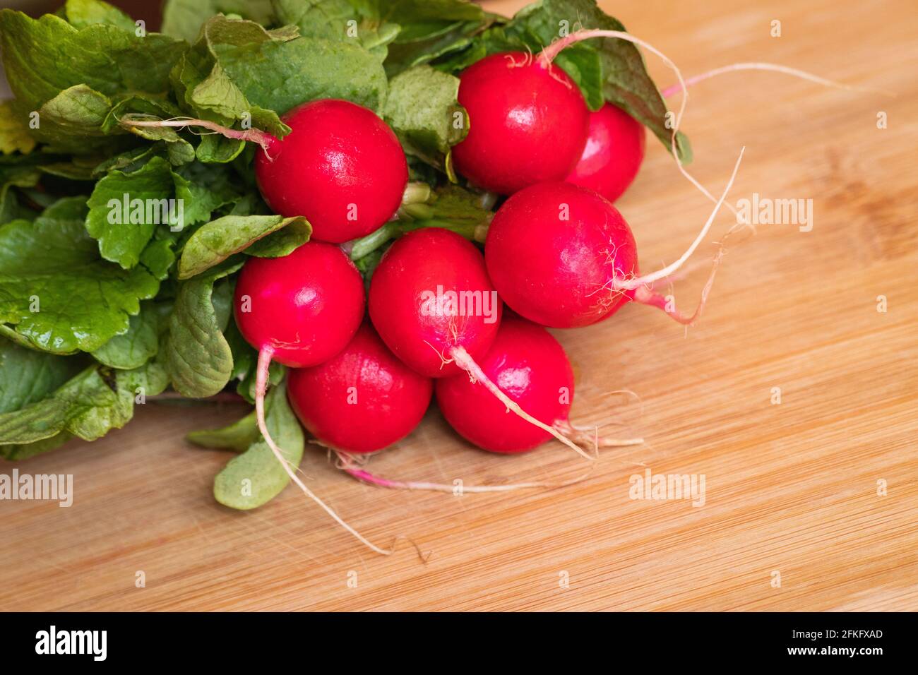 Raphanus sativus - ravanelli europei su tavola di bambù Foto Stock