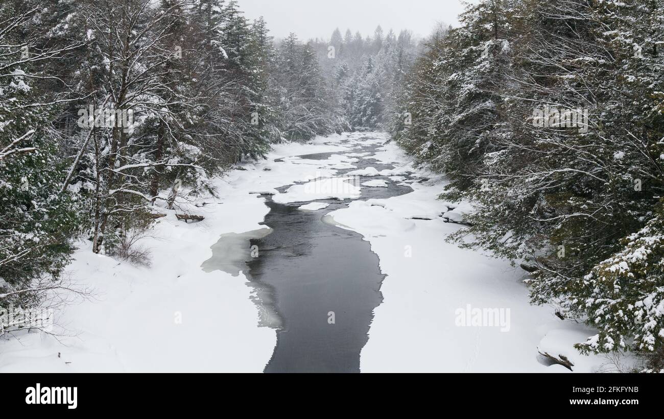 Blackwater River circondato da alberi innevati nel Blackwater Falls state Park, West Virginia, Stati Uniti Foto Stock