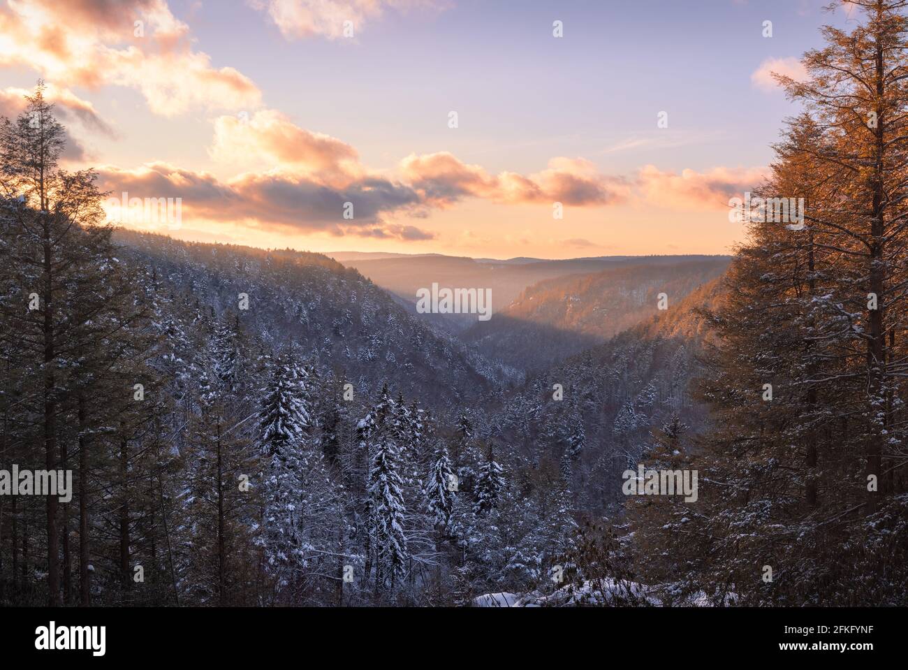 Fotografia che si affaccia sulla valle nel Blackwater Falls state Park in inverno con alberi innevati al tramonto Foto Stock