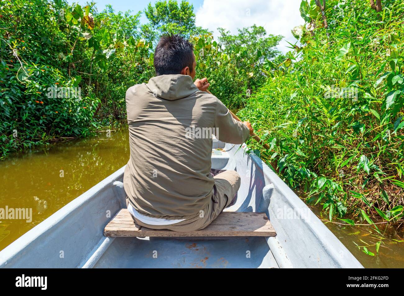 Guida turistica che attraversa un canale durante il tour di bird watching, riserva naturale di Cuyabeno, foresta pluviale amazzonica, Ecuador. Foto Stock