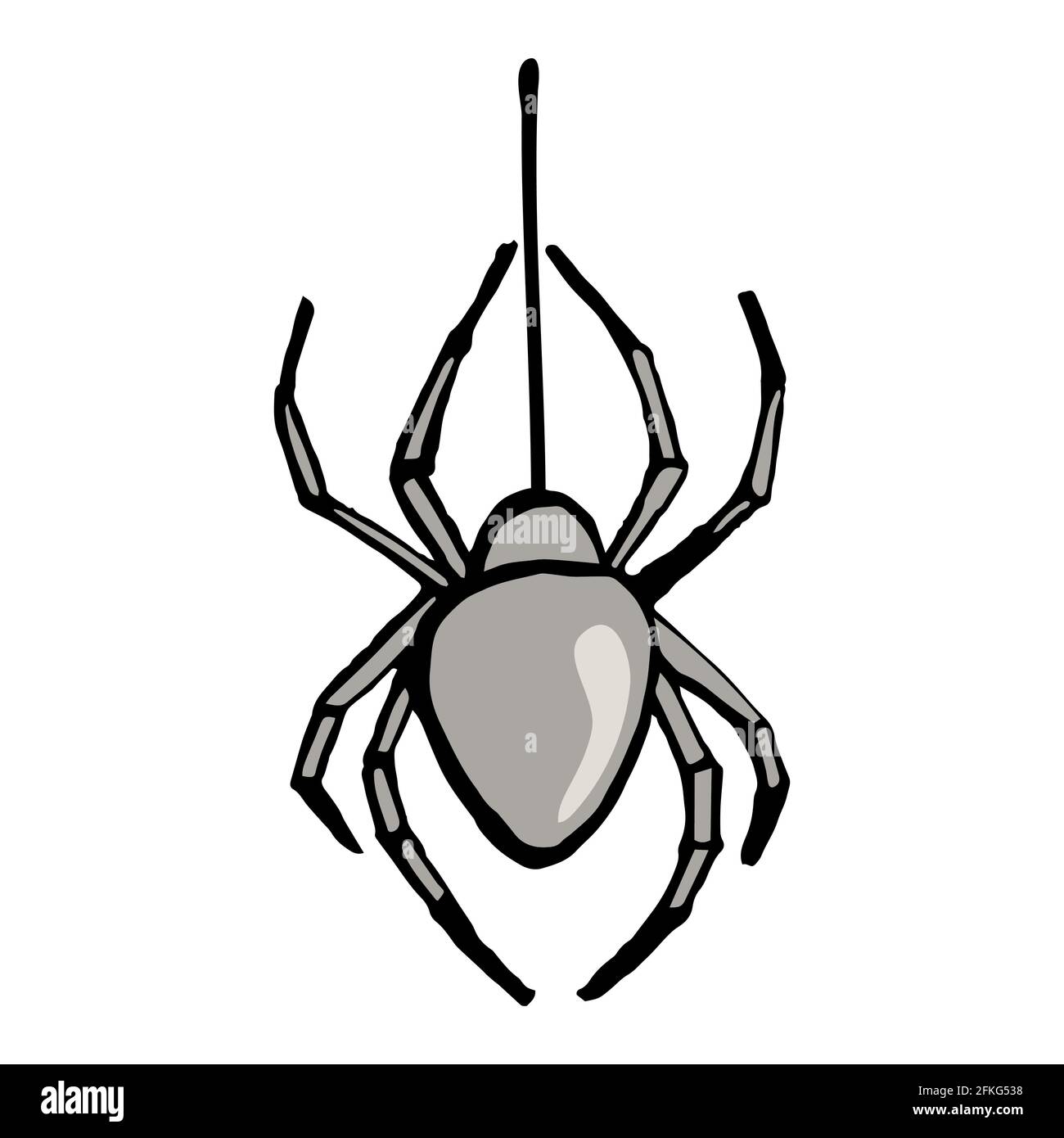 Spider su illustrazione web. Isolato su sfondo bianco. Illustrazione Vettoriale