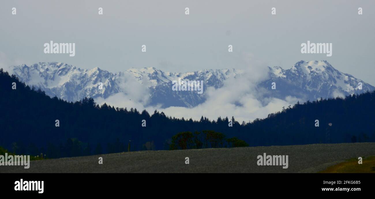 Le montagne olimpiche viste dalla penisola di Saanich. Foto Stock