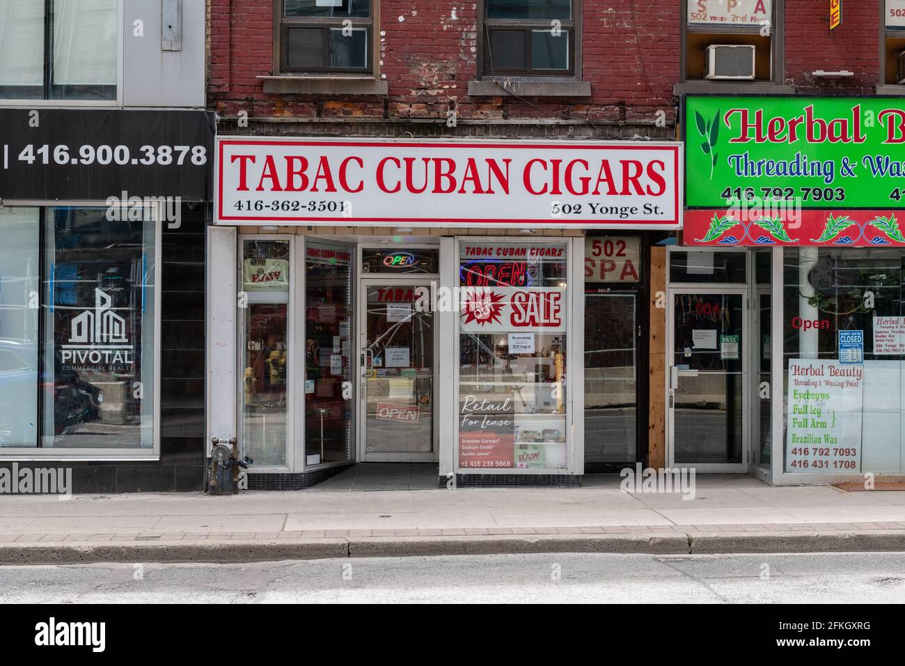 TABAC Cuban Cigar Small Business in Yonge Street nel centro di Toronto, Canada Foto Stock