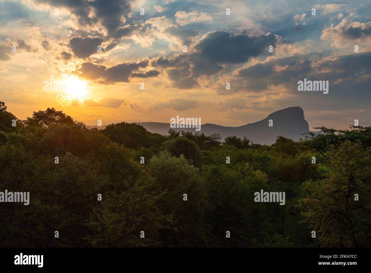 Paesaggio tramonto nella savana con Hanglip o picco di montagna Hanging Lip, Entabeni Safari Game Reserve, Waterberg, Limpopo Provincia, Sud Africa. Foto Stock