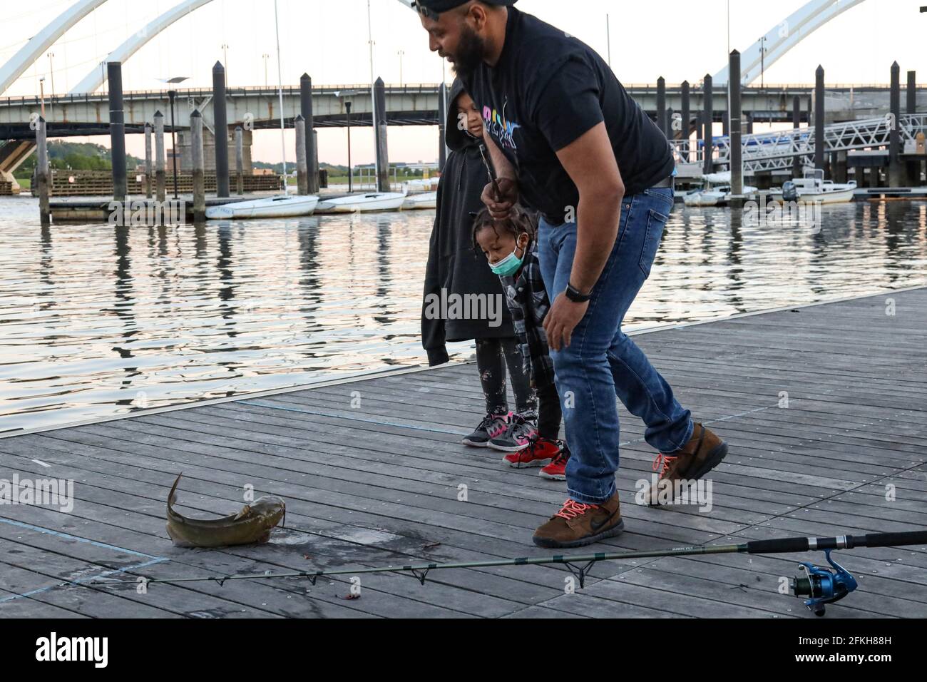 Washington, D.C., Stati Uniti. 1 maggio 2021. Daniel Payne, un elettricista locale dell'Unione 26 IBEW, rimuove un gancio da un pesce gatto catturato mentre la sua famiglia guarda lungo il fiume Anacostia. Credit: Bryan Dozier/Alamy Live News Foto Stock