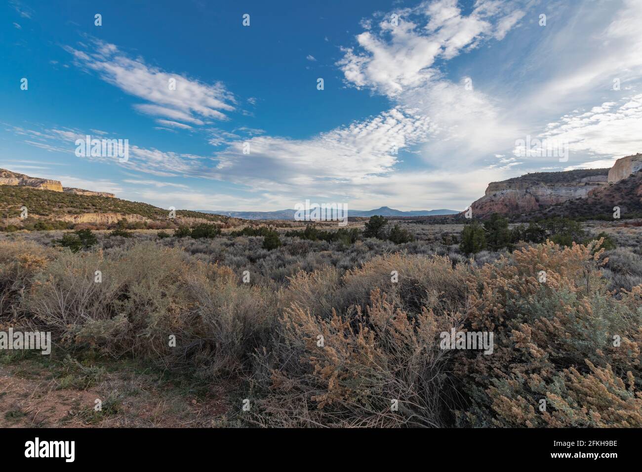 La Carson National Forest è una delle cinque foreste nazionali del New Mexico. Foto Stock