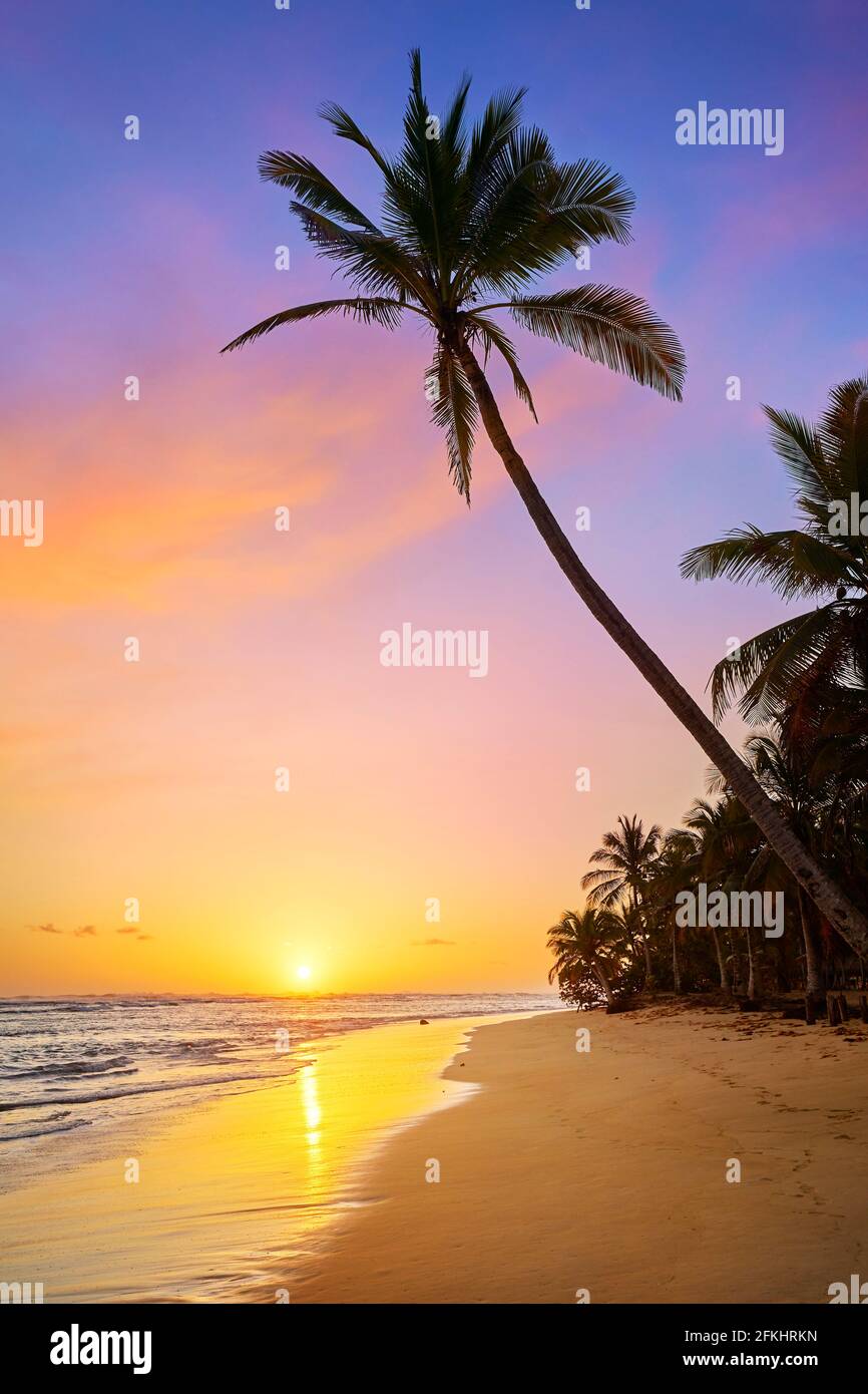 Spiaggia di Punta Cana all'alba, Repubblica Dominicana, Caraibi Foto Stock