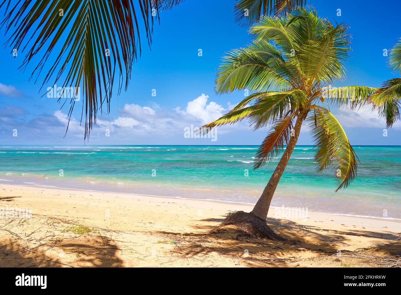 Spiaggia di Punta Cana, Repubblica Dominicana, dei Caraibi Foto Stock