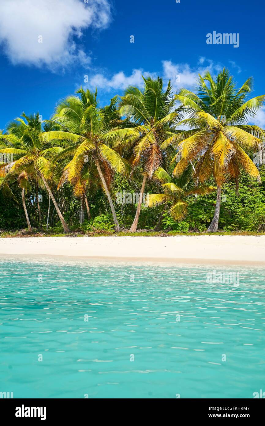 Isola di Saona, Repubblica Dominicana Foto Stock