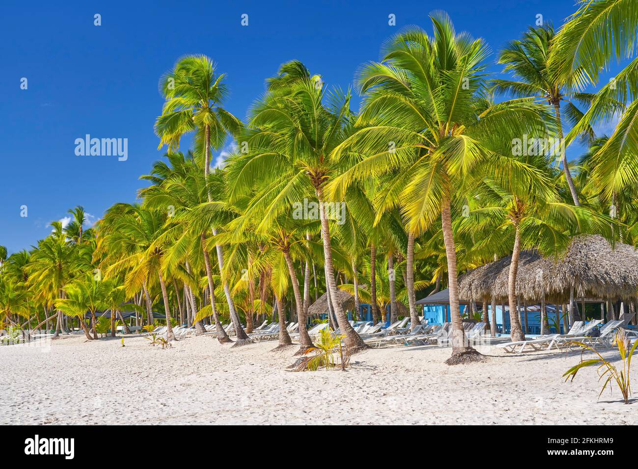 Isola di Saona, Repubblica Dominicana Foto Stock