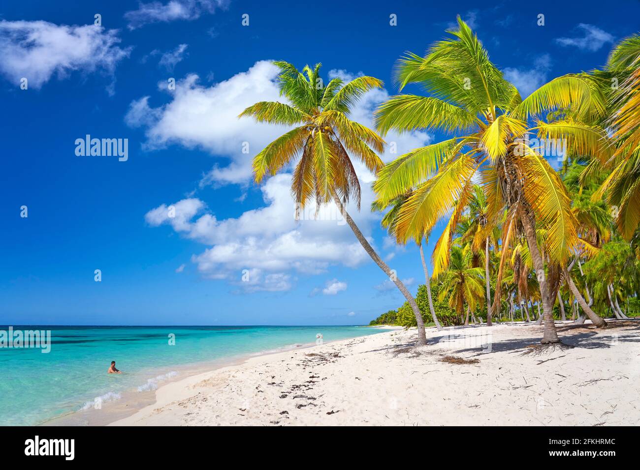 Isola di Saona, spiaggia dei Caraibi, Repubblica Dominicana Foto Stock