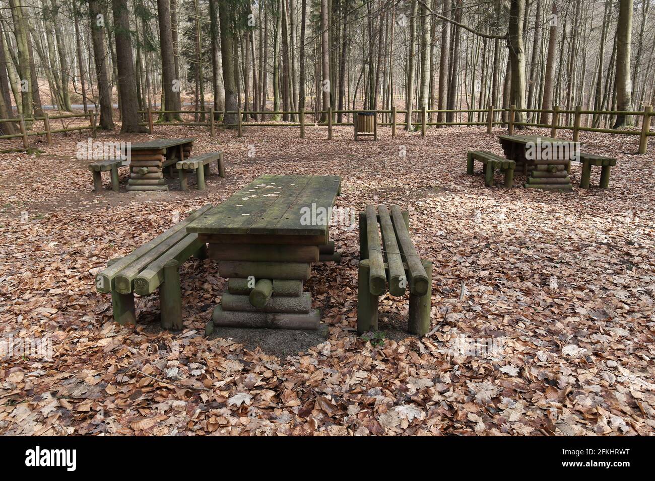 Tavoli vuoti in legno con panchine nella foresta d'autunno Foto Stock