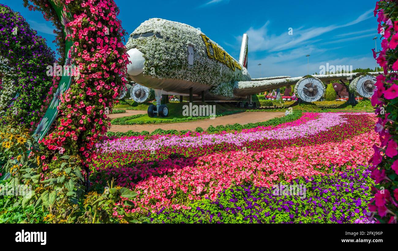 Dubai Miracle Garden - Megaparc negli Emirati Arabi Uniti Foto Stock