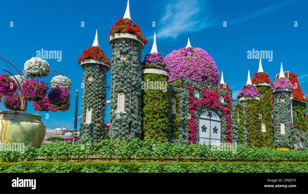 Dubai Miracle Garden - Megaparc negli Emirati Arabi Uniti Foto Stock