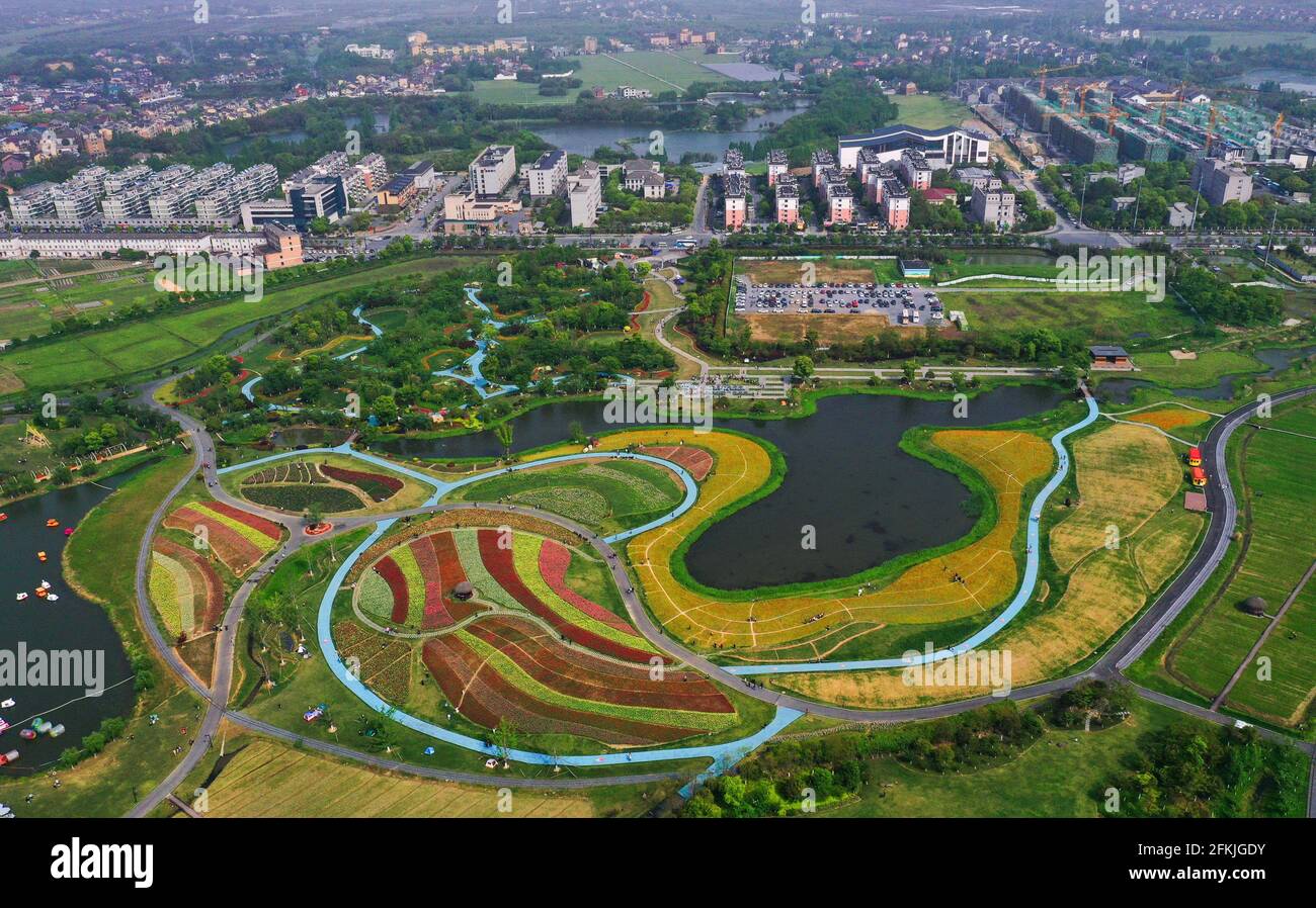 Hangzhou. 2 maggio 2021. La foto aerea scattata il 2 maggio 2021 mostra i campi di fiori nella cittadina di Jingshan nel distretto di Yuhang in Hangzhou, capitale della provincia di Zhejiang della Cina orientale. Dal 1° maggio al 5 maggio si svolge un carnevale di animazione presso i campi di fiori della città di Jingshan nel distretto di Yuhang di Hangzhou. Credit: Xu Yu/Xinhua/Alamy Live News Foto Stock