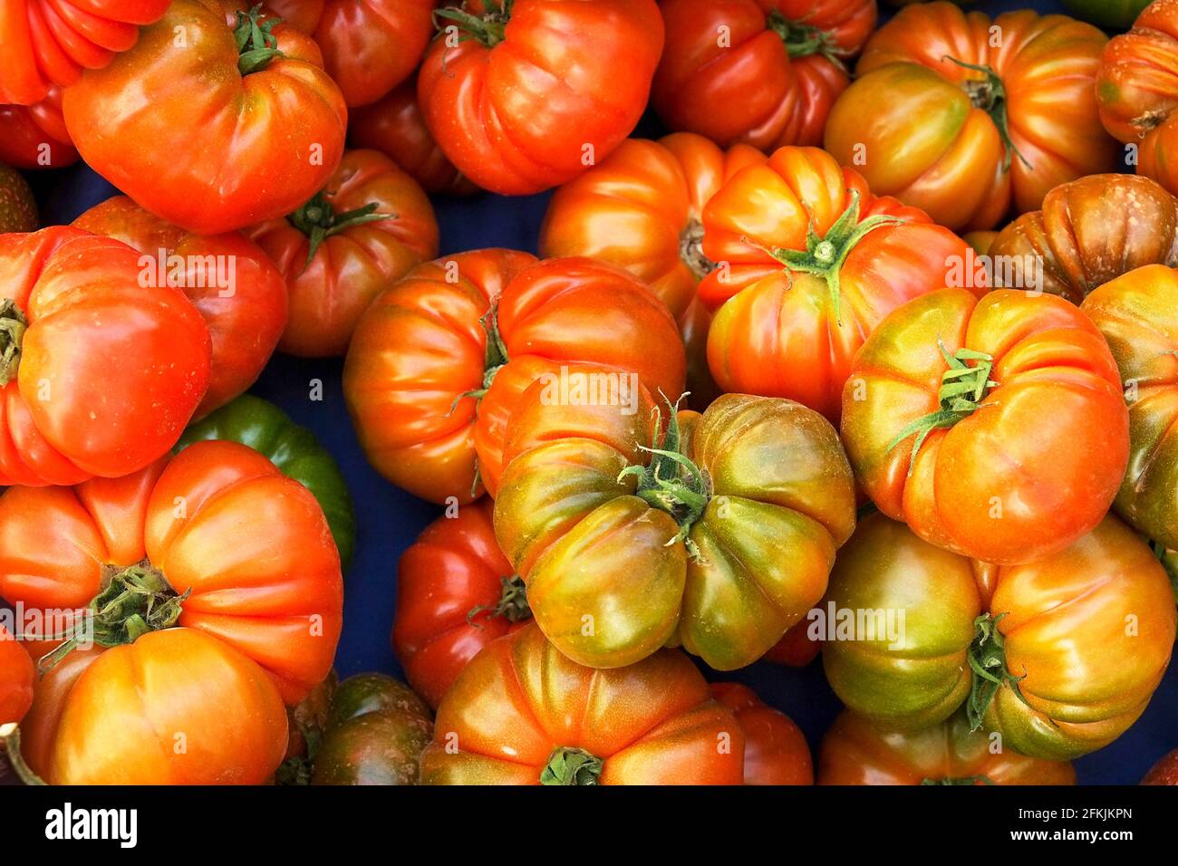 Concetto di cibo pulito. Mazzo di pomodori misti giallo ciliegia freschi e succosi maturi al mercato agricolo di produzione locale. Dieta sana, primavera Foto Stock