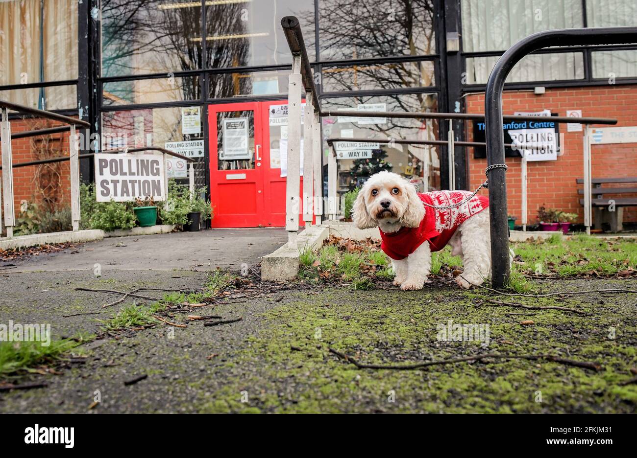 Copertura elettorale generale nel North East Lincolnshire 2019. Charlie il cane a Laceby Polling Station. Foto Stock