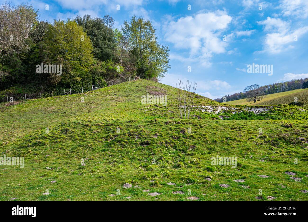 Vista sulla campagna delle colline erbose da Horse Shoe Plantation in Arundel Park, parte del South Downs National Park, a Spring in West Sussex, Regno Unito. Foto Stock