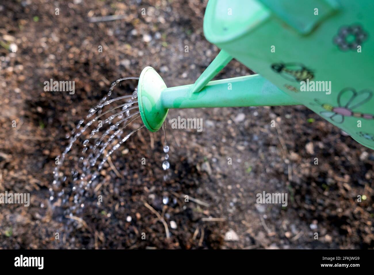 Vista closeup del verde annaffiatura del bambino può mettere acqua spruzzante su suolo molto asciutto di letto di giardino da sopra su asciutto Giorno nel mese di aprile 2021 Regno Unito KATHY DEWITT Foto Stock