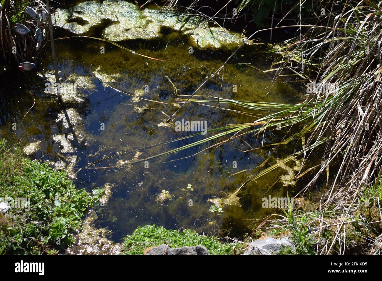 ancora laghetto Foto Stock