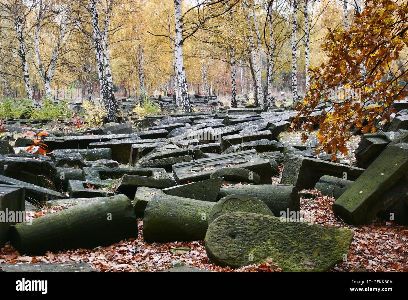 Polonia, Varsavia, distretto di Targowek, ebrei elementare, Masovia voivodato. Foto Stock