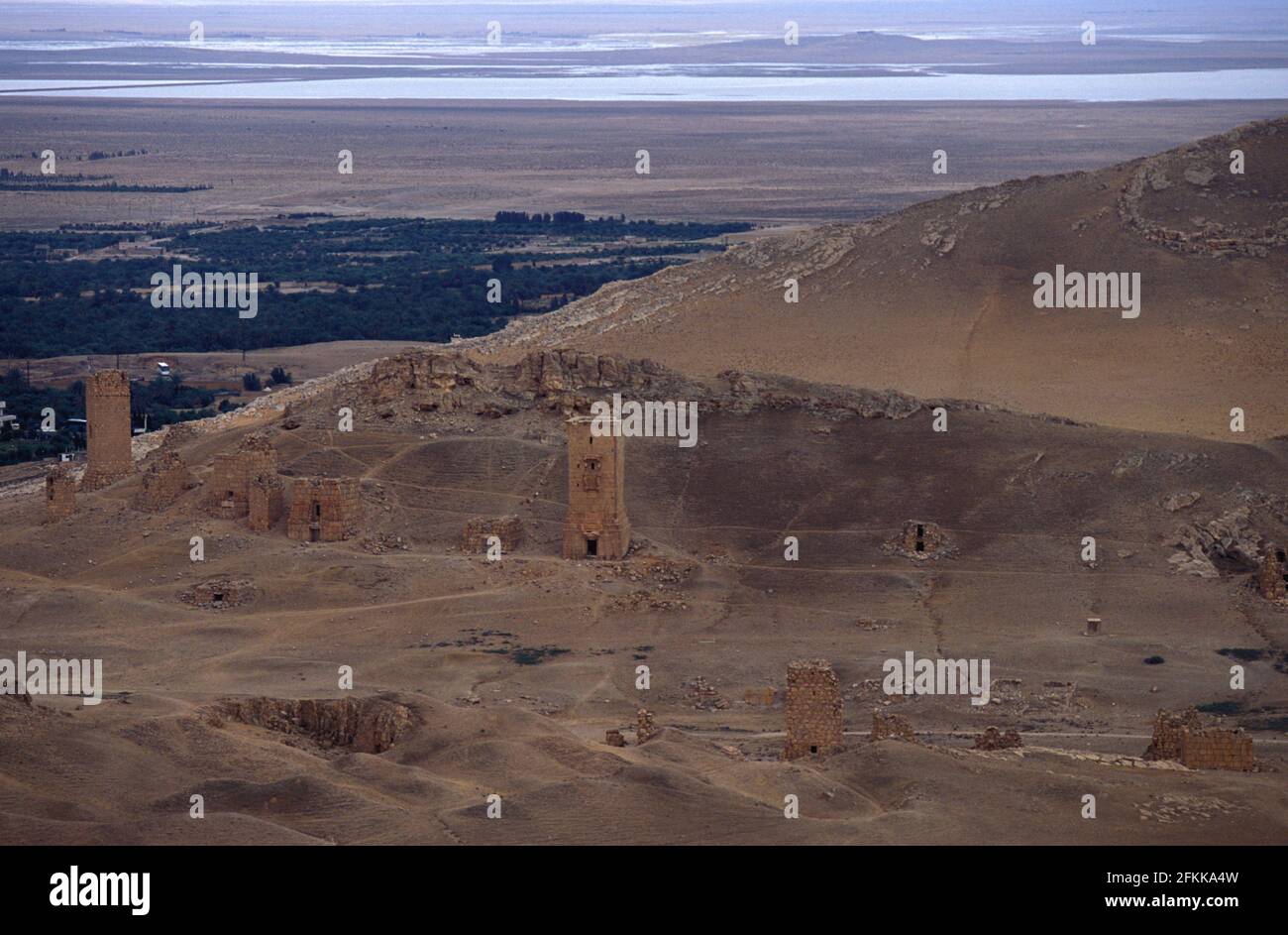 Vista della Valle delle Tombe, da Qalaat Fakhr ad-DIN al-Maani, Palmyra, Siria Foto Stock