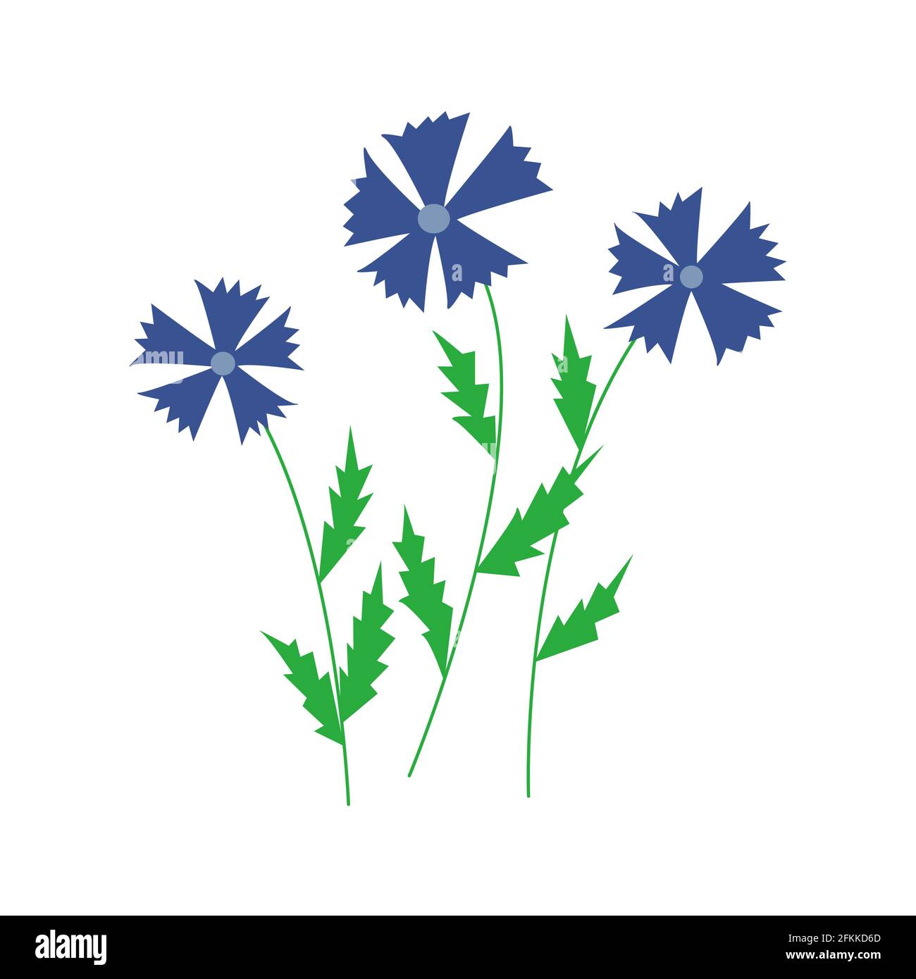 Fiori di mais. Tre fiori selvatici. Illustrazione vettoriale colorata disegnata a mano Illustrazione Vettoriale