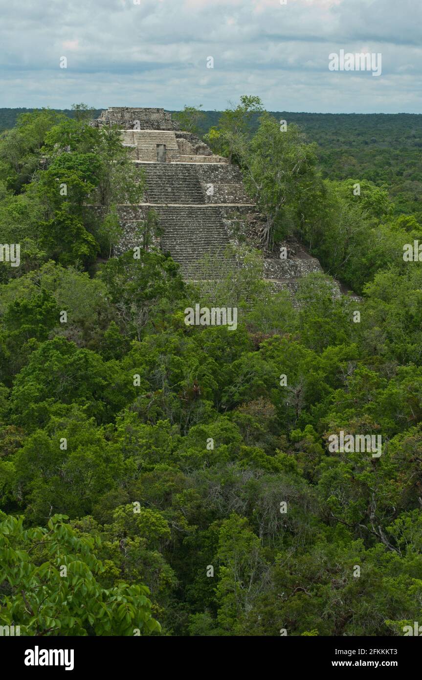 LA RESERVA DE LA BIOSFERA DE CALAKMUL ES LA MAYOR EXTENSION DE BOSQUE TROPICAL PROTEGIDO DE MEXICO Y LA SELVA TROPICAL MAS GRANDE DEL HEMISFERIO NORTE Foto Stock