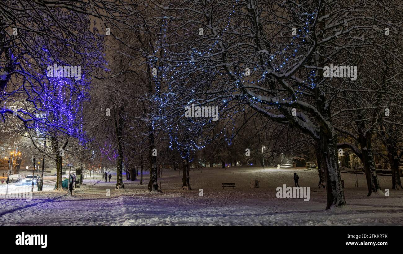Luci invernali negli alberi sulla strada in Harrogate in una serata invernale innevata Foto Stock