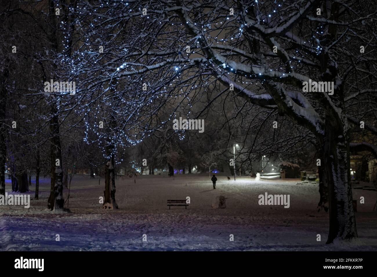 Luci invernali negli alberi sulla strada in Harrogate in una serata invernale innevata Foto Stock
