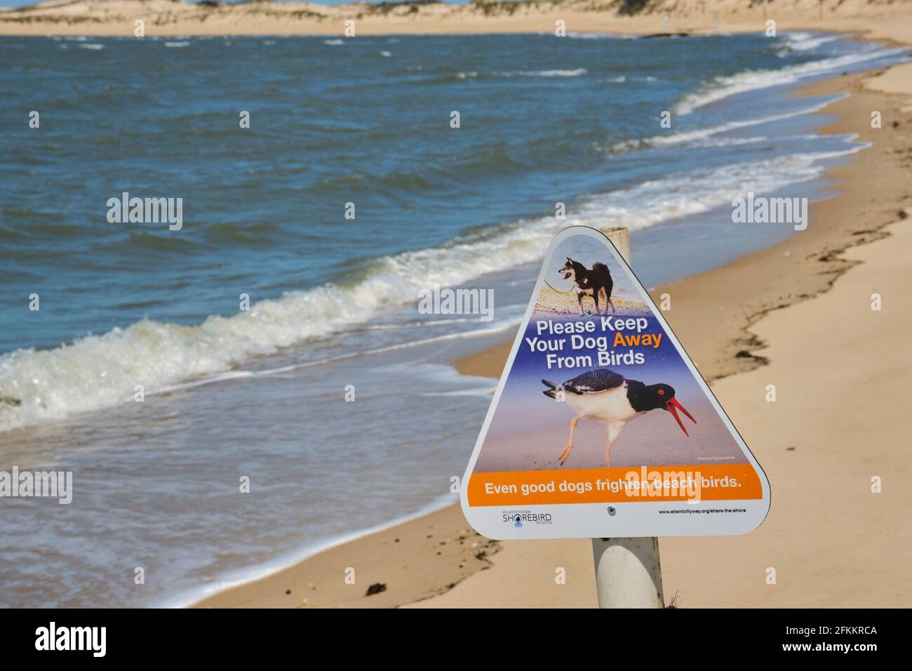 Il cartello triangolare ricorda ai beachgoer di non permettere ai cani di disturbare gli uccelli nelle dune del Cape Henlopen state Park, Delaware. Foto Stock